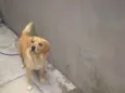 Bob