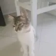 Molly