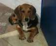 Marley 