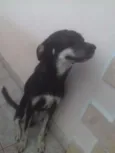 Bruce