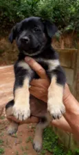 Princesa