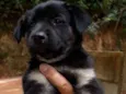 Princesa