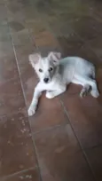 Desconhecido
