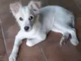 Desconhecido