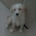Billy