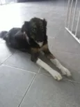 Bruna