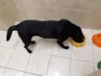 Bil
