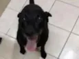 Bil