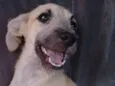 Sem nome