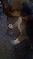 Nomes indefinidos 