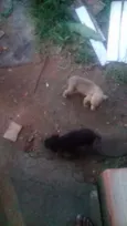 Nomes indefinidos 