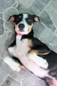 Vitória 