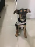 Capitu
