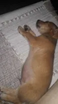 Felipe