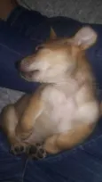 Felipe