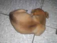 Felipe