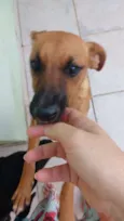 Laila