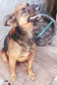 Billy