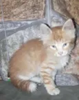 Fred