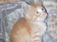 Fred