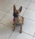 Não tem nome