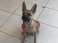 Não tem nome