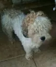 Mel