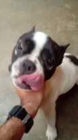 Max (adoção especial