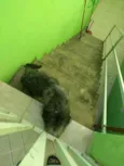Spaky