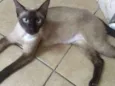 Mulan