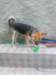 Fred