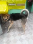 Fred