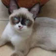 Oliver