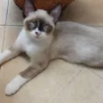 Oliver