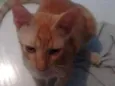 João