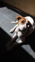 Jack