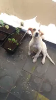 Jack