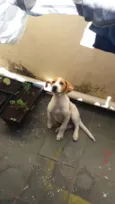 Jack