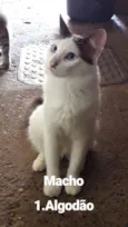 Nomes nas fotos 