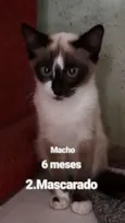 Nomes nas fotos 