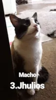 Nomes nas fotos 