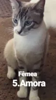 Nomes nas fotos 