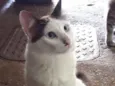 Nomes nas fotos 