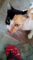 Sem 