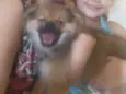 Bidú