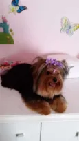Lucy