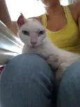 Sol