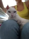 Sol