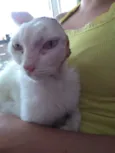 Sol