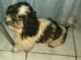 Jerry
